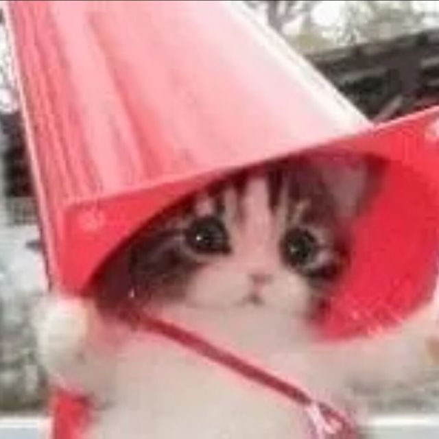 昭昭